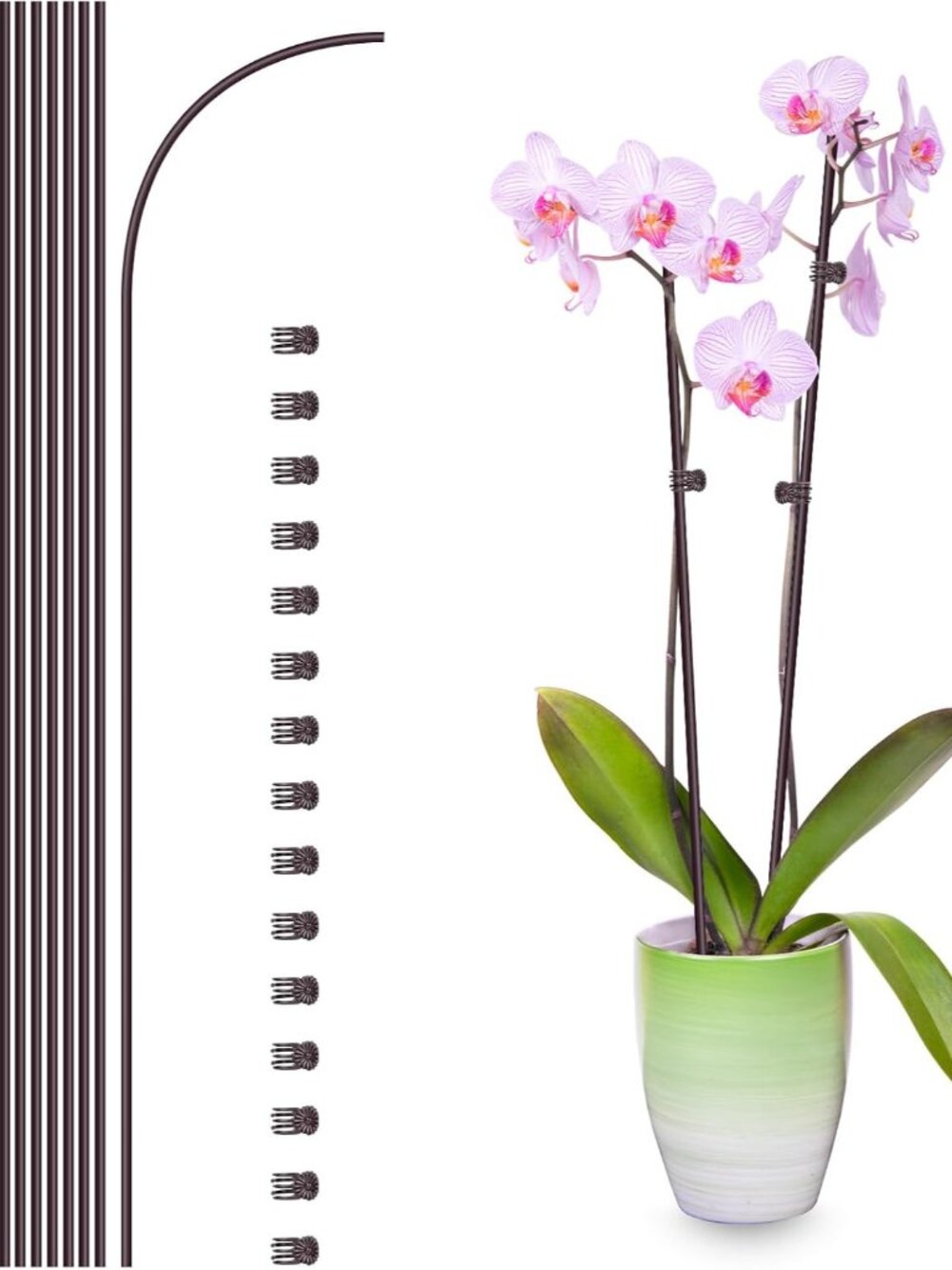 10Pcs Plant Support Stakes with 15Pcs Plant Clips, 16inch Plant Sticks